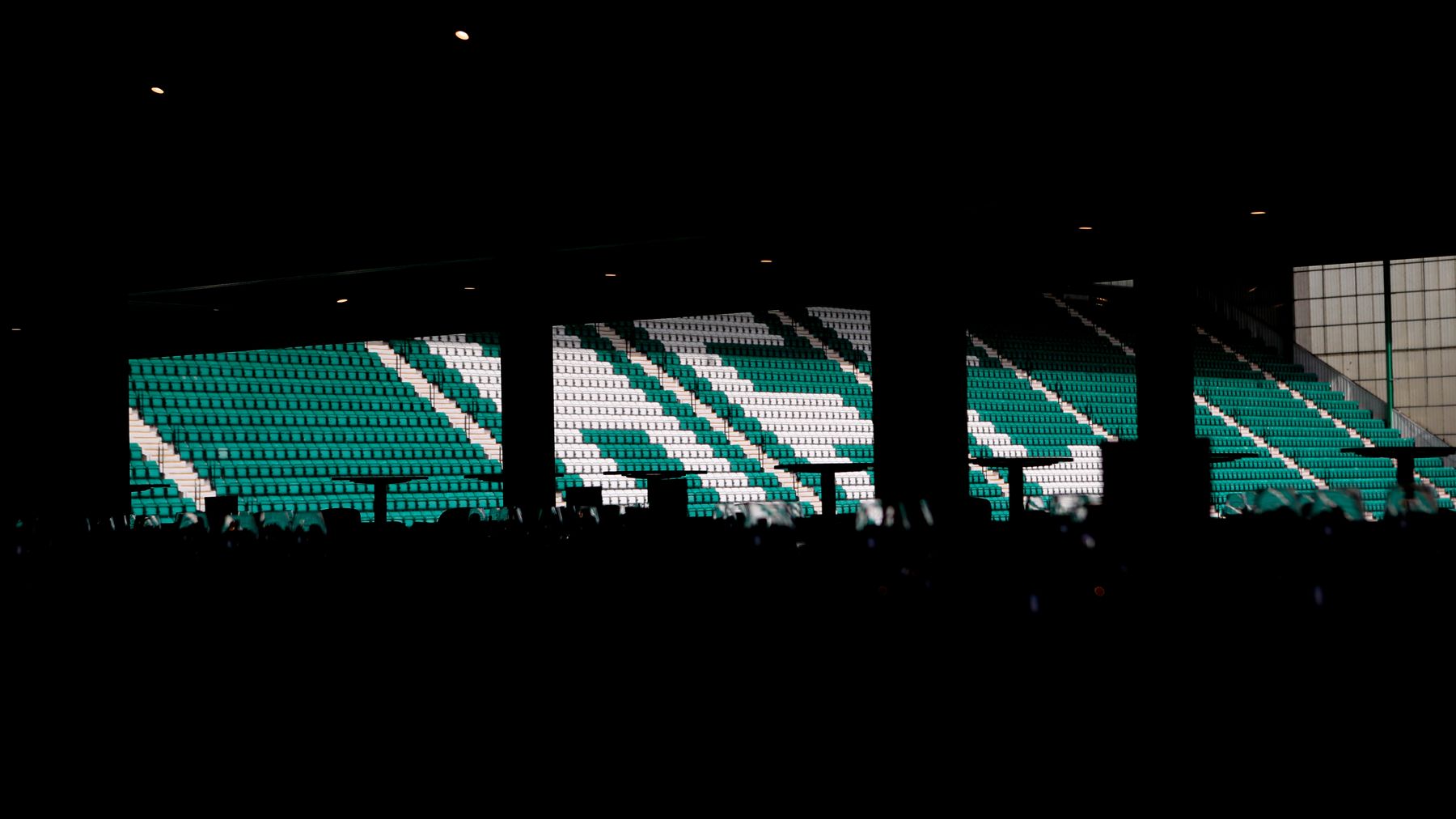 1DX20041.jpg